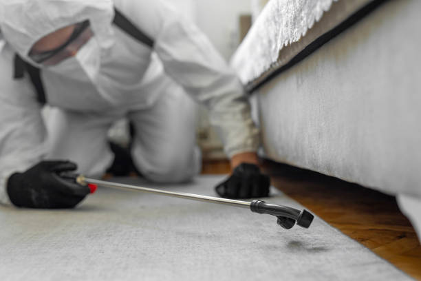 Professional Termite Control technician working in Mansfield Center, MA