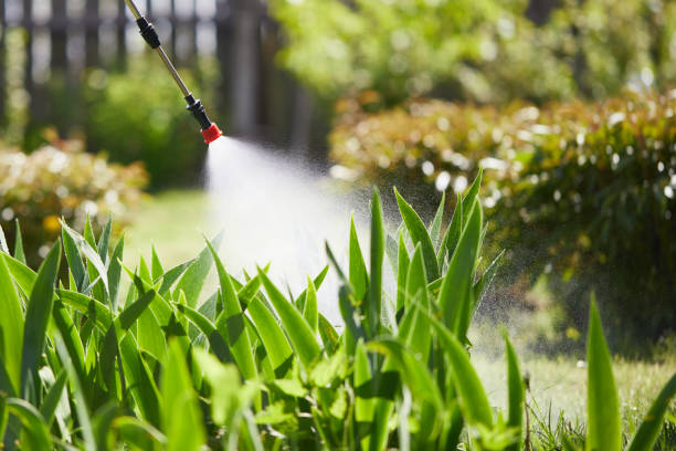 24/7 Emergency Termite Control experts in Mansfield Center, MA