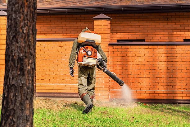 Trusted Rodent Control service in Mansfield Center, MA - Nex Pest Control